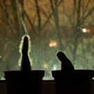Любовь с первой иголки
