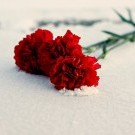 Всякая всячина
