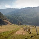  Урочище Карасук.Здесь домик и стоит.