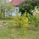 май в деревне 2012