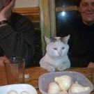 Мы в лицах