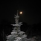 ДЕКАБРЬ 2011