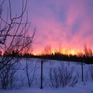 Февраль 2012