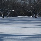 Свято-Введенская Макариевская Жабынская пустынь