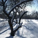Свято-Введенская Макариевская Жабынская пустынь