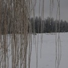 "Ледяной" дождь..
