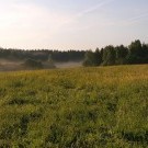 Утро в Смоленской области