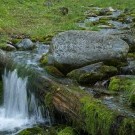 Бурятия, курорт Аршан