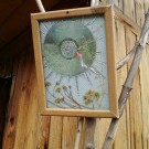 Диск в картинке