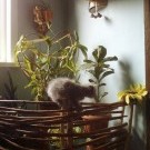 Зимний садик