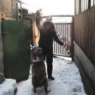 Наш главный сторож