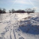 лыжня есть, а где лыжники?