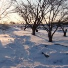 дорога на юг