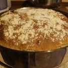 Хлебушек